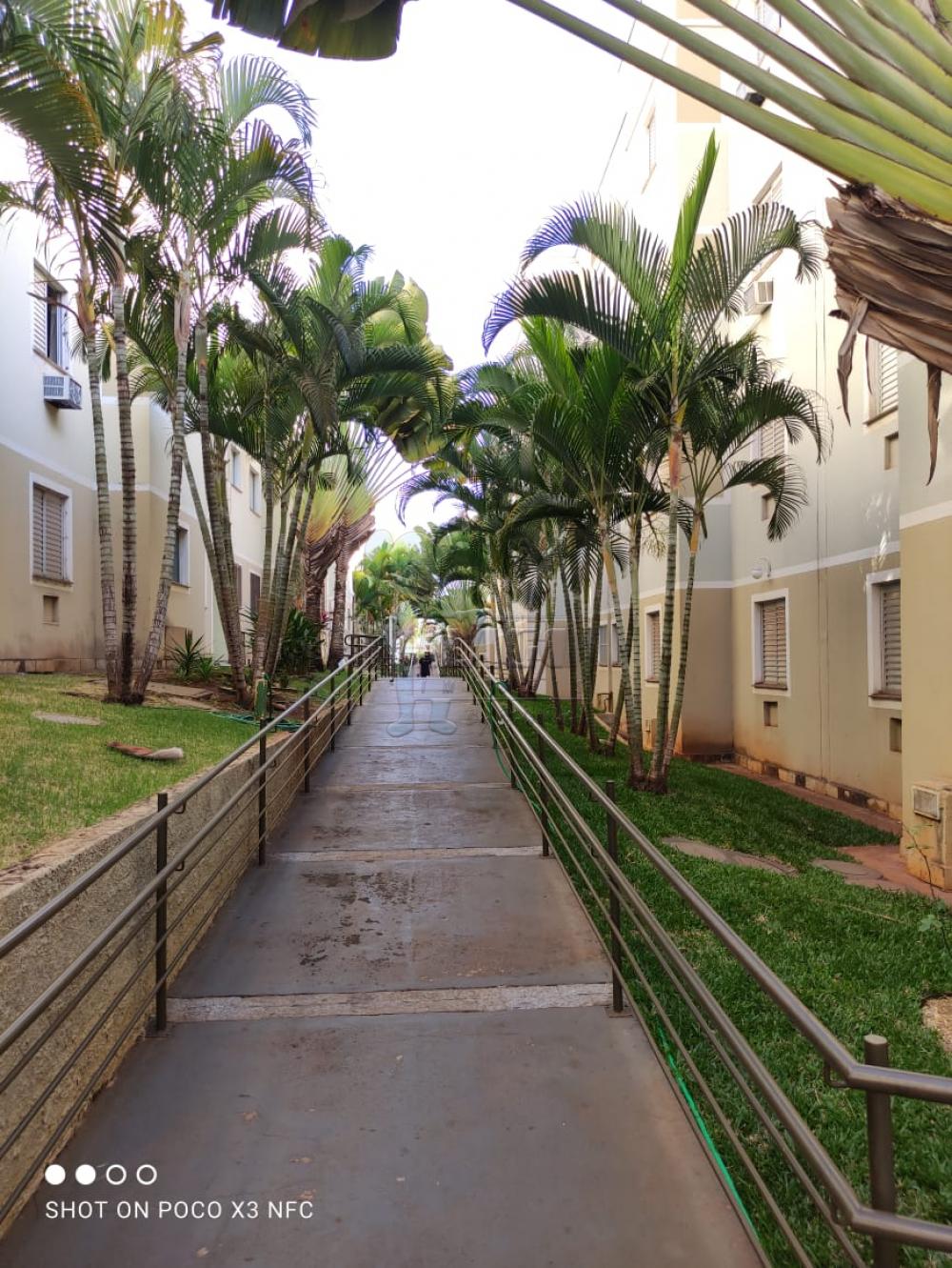 Alugar Apartamento / Kitchenet / Flat em Ribeirão Preto R$ 800,00 - Foto 24