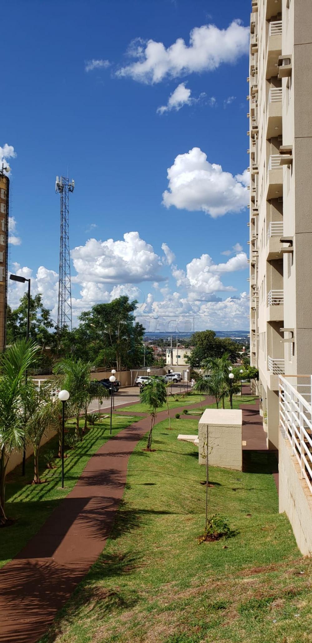 Alugar Apartamentos / Padrão em Ribeirão Preto R$ 1.100,00 - Foto 23