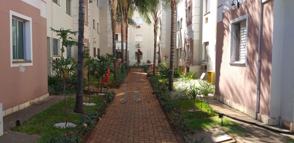 Alugar Apartamentos / Padrão em Ribeirão Preto R$ 850,00 - Foto 21