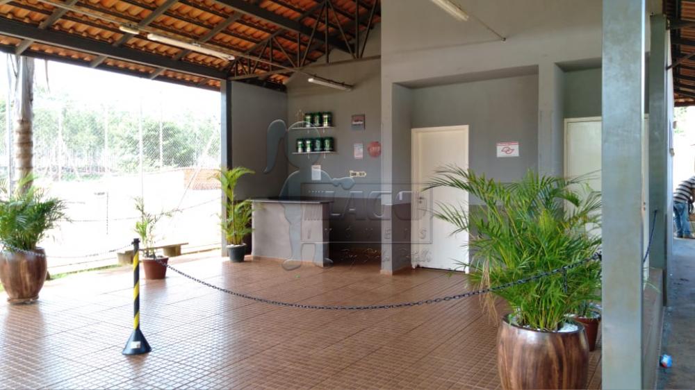Alugar Apartamentos / Padrão em Ribeirão Preto R$ 600,00 - Foto 12