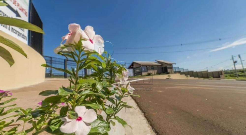 Comprar Casas / Condomínio em Ribeirão Preto R$ 820.000,00 - Foto 63