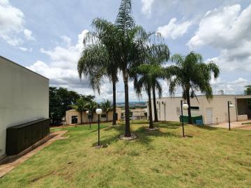 Alugar Casas / Condomínio em Ribeirão Preto R$ 3.850,00 - Foto 40