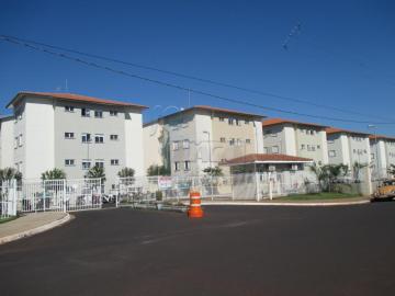 Alugar Apartamentos / Padrão em Ribeirão Preto R$ 700,00 - Foto 13
