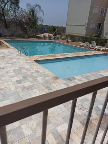 imagem 4 - Apartamento de 42m² de 2 quartos para locação - Jardim Heitor Rigon imagem 4 - Apartamento de 42m² de 2 quartos para locação - Jardim Heitor Rigon