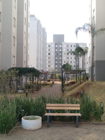 Alugar Apartamentos / Padrão em Ribeirão Preto R$ 700,00 - Foto 12