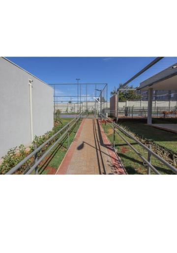 imagem 5 - Apartamento Novo no Parque dos Pinus imagem 5 - Apartamento Novo no Parque dos Pinus