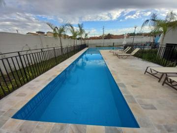 imagem 5 - Apartamento de 42,50m² com 02 quartos para locação - Jardim José Wilson Toni imagem 5 - Apartamento de 42,50m² com 02 quartos para locação - Jardim José Wilson Toni