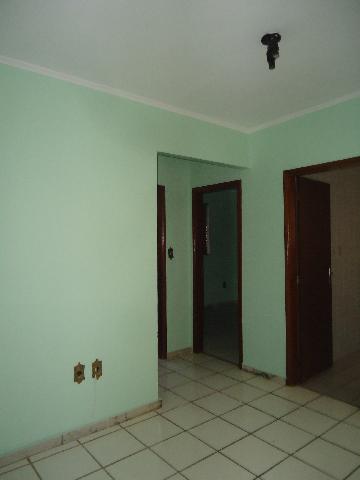 imagem 1 - Apartamento de 46m² com 02 quartos para locação e venda - Jardim Paulistano imagem 1 - Apartamento de 46m² com 02 quartos para locação e venda - Jardim Paulistano