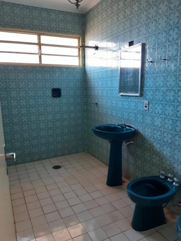 imagem 2 - Comercial padrão - Casa comercial imagem 2 - Comercial padrão - Casa comercial