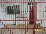 imagem 2 - Casa de 120m² com 2 quartos - Jardim Maria Goretti imagem 2 - Casa de 120m² com 2 quartos - Jardim Maria Goretti