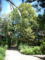imagem 4 - Casa - Chácara - Rancho imagem 4 - Casa - Chácara - Rancho
