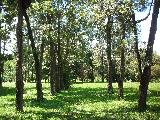 imagem 5 - Casa - Chácara - Rancho imagem 5 - Casa - Chácara - Rancho