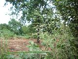 imagem 2 - Terreno - Padrão imagem 2 - Terreno - Padrão