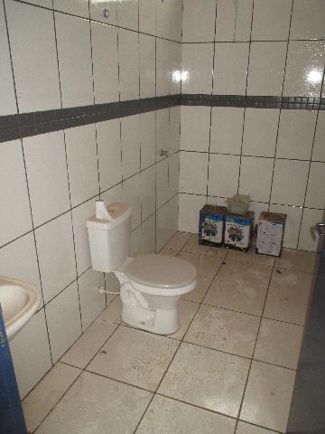 imagem 4 - Galpão comercial de 204m² com pé direito alto para locação - Jardim Jóquei Clube imagem 4 - Galpão comercial de 204m² com pé direito alto para locação - Jardim Jóquei Clube