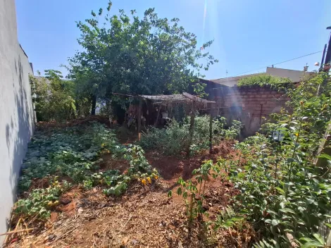 imagem 2 - Terreno de 160m² à venda - Parque dos Servidores imagem 2 - Terreno de 160m² à venda - Parque dos Servidores