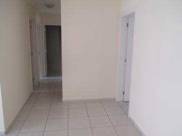imagem 3 - Apartamento de 79m² com 03 quartos para venda - Jardim Nova Aliança Sul imagem 3 - Apartamento de 79m² com 03 quartos para venda - Jardim Nova Aliança Sul