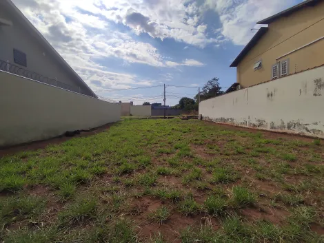 imagem 4 - Terreno de 450m² à venda - Ribeirânia imagem 4 - Terreno de 450m² à venda - Ribeirânia
