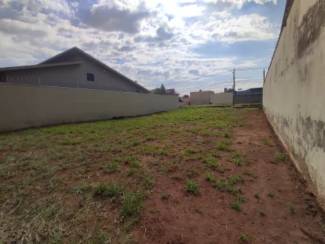 imagem 5 - Terreno de 450m² à venda - Ribeirânia imagem 5 - Terreno de 450m² à venda - Ribeirânia