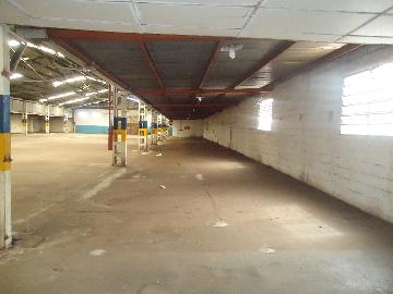 imagem 4 - Comercial padrão - Galpão - Armazém imagem 4 - Comercial padrão - Galpão - Armazém