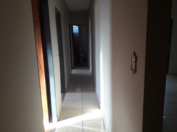 imagem 3 - Apartamento de 115m² com 03 quartos para locação - Parque dos Bandeirantes imagem 3 - Apartamento de 115m² com 03 quartos para locação - Parque dos Bandeirantes