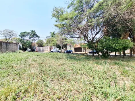 imagem 3 - Terreno - Padrão imagem 3 - Terreno - Padrão