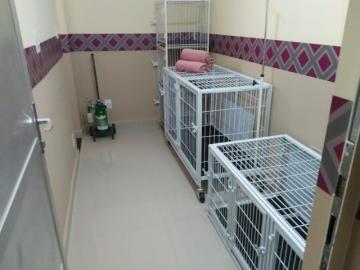imagem 4 - Comercial padrão - Casa comercial imagem 4 - Comercial padrão - Casa comercial