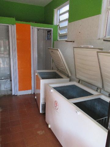 imagem 5 - Comercial padrão - Loja imagem 5 - Comercial padrão - Loja