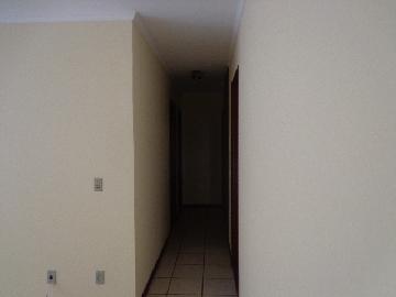 imagem 2 - Apartamento de 85m² com 03 quartos para locação - Presidente Médici imagem 2 - Apartamento de 85m² com 03 quartos para locação - Presidente Médici