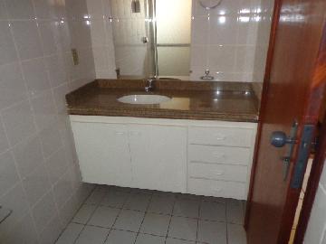 imagem 5 - Apartamento de 85m² com 03 quartos para locação - Presidente Médici imagem 5 - Apartamento de 85m² com 03 quartos para locação - Presidente Médici