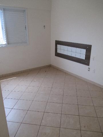 imagem 5 - Apartamento de 40m² com 01 quarto para locação e venda - Jardim Palma Travassos imagem 5 - Apartamento de 40m² com 01 quarto para locação e venda - Jardim Palma Travassos