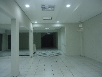imagem 2 - Comercial padrão - Loja imagem 2 - Comercial padrão - Loja