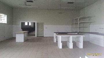 Alugar Comercial / Salão/Galpão/Armazém em Ribeirão Preto R$ 5.000,00 - Foto 5