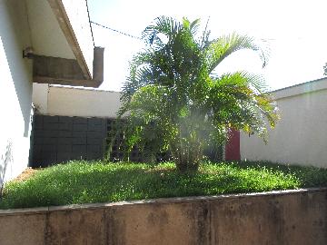 imagem 4 - CASA TÉRREA NO JARDIM SUMARÉ imagem 4 - CASA TÉRREA NO JARDIM SUMARÉ