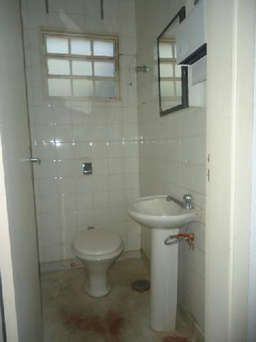 imagem 5 - Comercial padrão - Loja imagem 5 - Comercial padrão - Loja