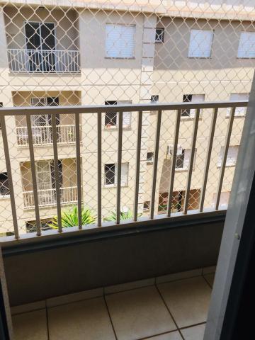 imagem 5 - Apartamento - Padrão imagem 5 - Apartamento - Padrão