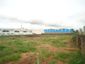 Alugar Terrenos / Padrão em Ribeirão Preto R$ 10.000,00 - Foto 3