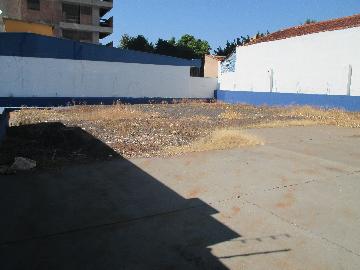 Alugar Comercial / Casa Comercial em Ribeirão Preto R$ 7.000,00 - Foto 1