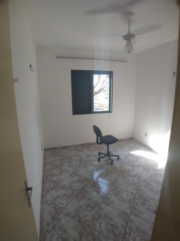 imagem 5 - APARTAMENTO NA VILA AMELIA imagem 5 - APARTAMENTO NA VILA AMELIA