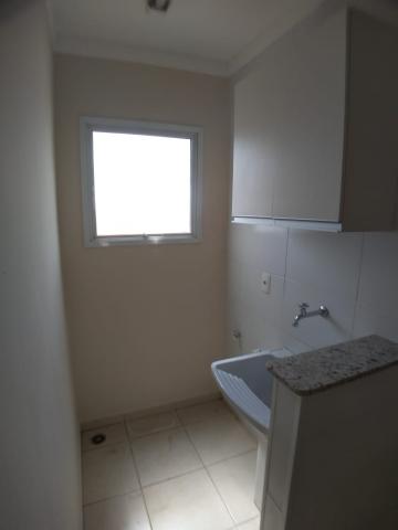 imagem 4 - Apartamento de 39m² com 01 quarto para locação - Nova Aliança imagem 4 - Apartamento de 39m² com 01 quarto para locação - Nova Aliança