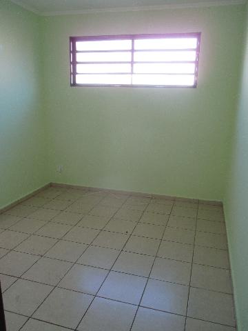 imagem 1 - CASA TÉRREA NA VILA SEIXAS imagem 1 - CASA TÉRREA NA VILA SEIXAS
