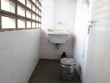 imagem 4 - Apartamento de 36m² com 01 quarto para locação - Centro imagem 4 - Apartamento de 36m² com 01 quarto para locação - Centro