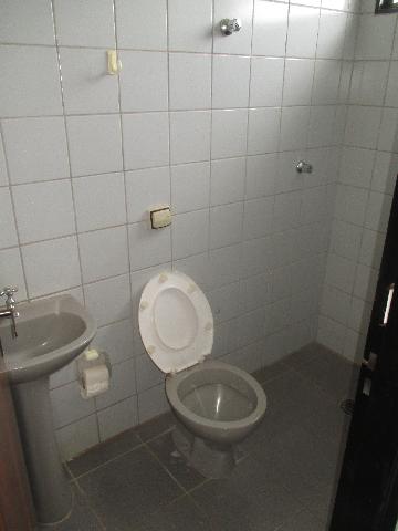 imagem 2 - Escritório de 28m² com 01 banheiro para locação - Castelo Branco imagem 2 - Escritório de 28m² com 01 banheiro para locação - Castelo Branco