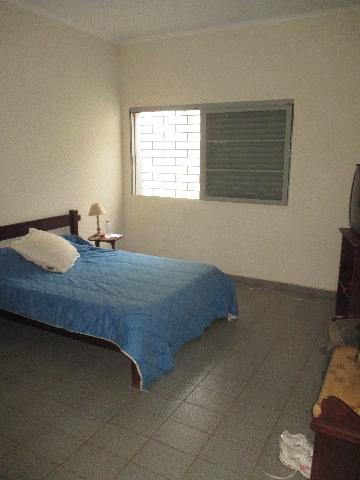imagem 1 - Comercial padrão - Casa comercial imagem 1 - Comercial padrão - Casa comercial
