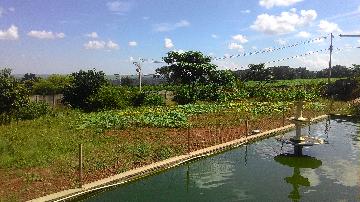 imagem 4 - Casa - Chácara - Rancho imagem 4 - Casa - Chácara - Rancho