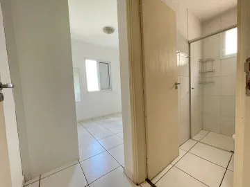 imagem 3 - Excelente apartamento Próximo ao Ribeirão Shopping imagem 3 - Excelente apartamento Próximo ao Ribeirão Shopping