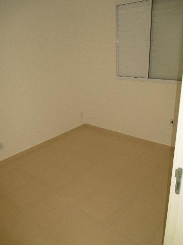 imagem 5 - Apartamento de 48m² com 02 quartos para locação - Parque dos Pinus imagem 5 - Apartamento de 48m² com 02 quartos para locação - Parque dos Pinus