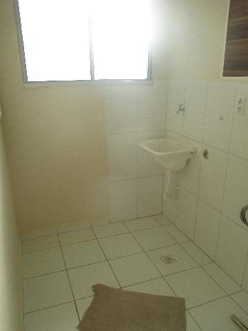 imagem 4 - Apartamento de 47m² com 02 quartos para locação - Parque São Sebastião imagem 4 - Apartamento de 47m² com 02 quartos para locação - Parque São Sebastião