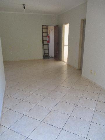 imagem 3 - APARTAMENTO NO JARDIM IRAJÁ imagem 3 - APARTAMENTO NO JARDIM IRAJÁ