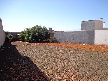 imagem 1 - Terreno - Padrão imagem 1 - Terreno - Padrão