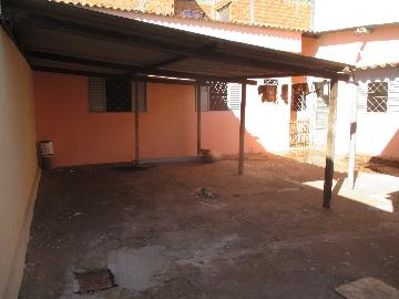 imagem 2 - CASA TÉRREA PRÓXIMO À RODOVIA ANHANGUERA imagem 2 - CASA TÉRREA PRÓXIMO À RODOVIA ANHANGUERA